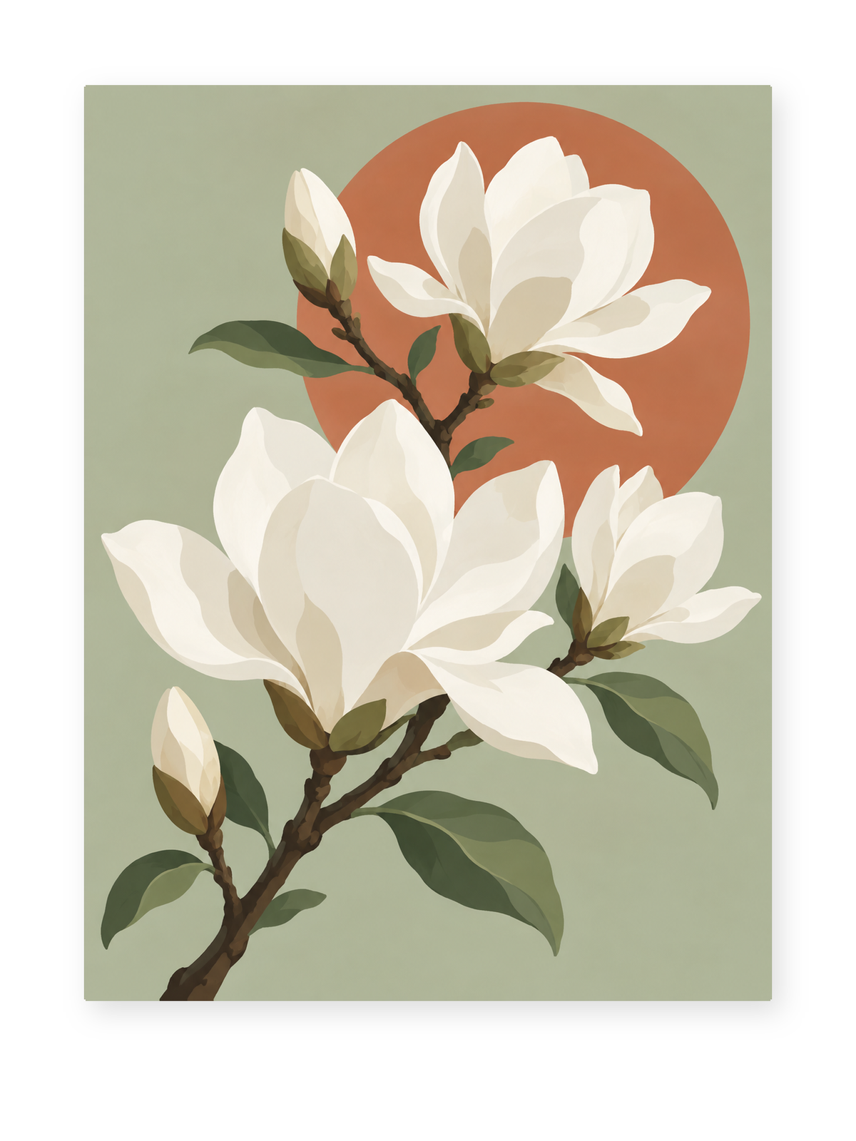 Magnolia Harmony
