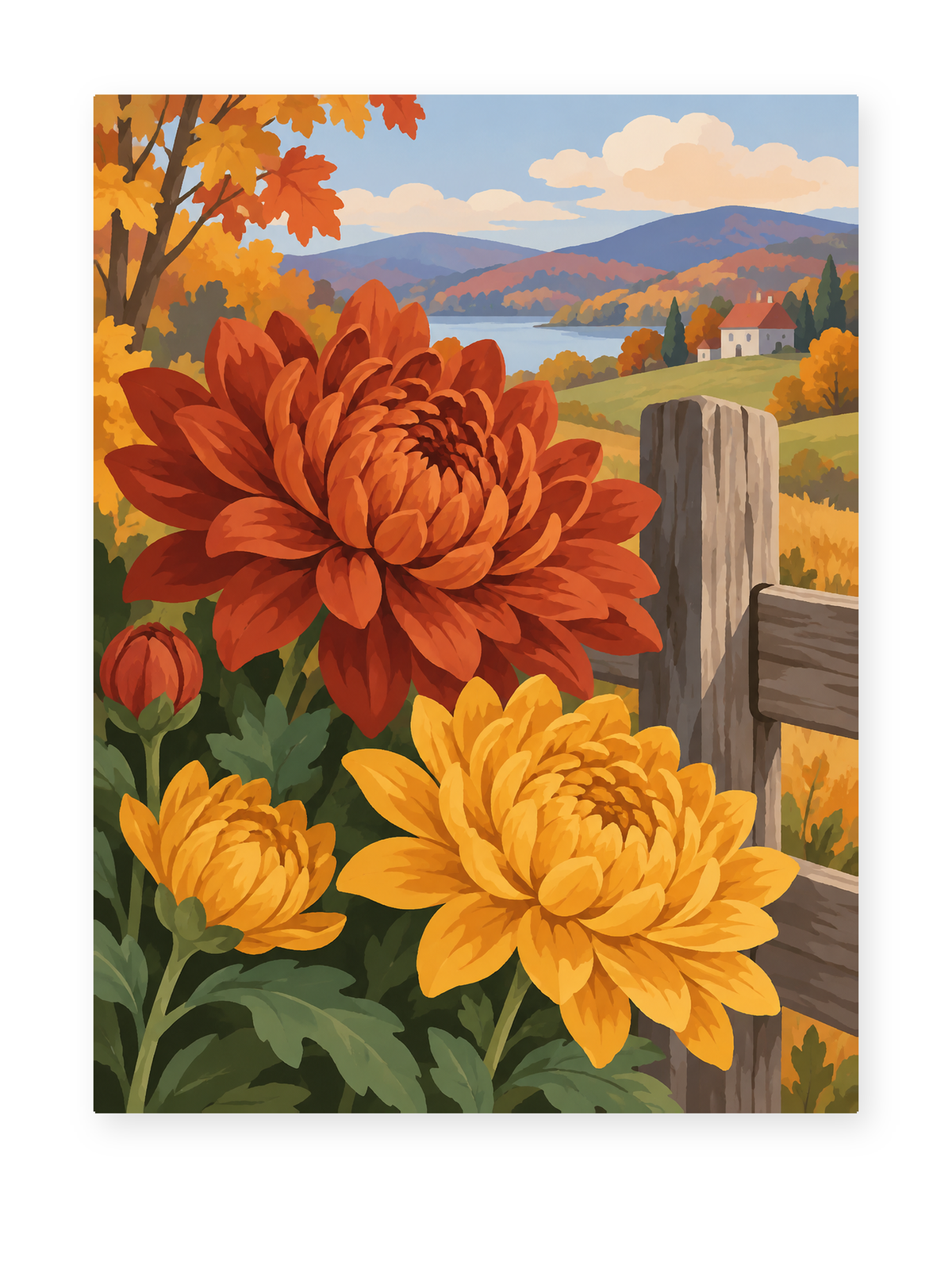 Autumn Chrysanthemums
