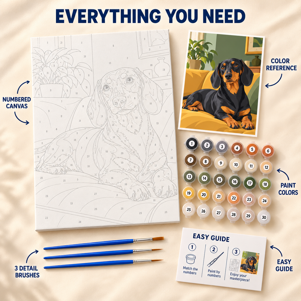 Cozy Dachshund paint by numbers kit showing numbered canvas, paint pots, three detail brushes, color reference and guide
