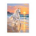 A white horse running through shallow beach water at sunset - animal paint by numbers artwork