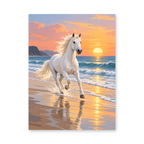 A white horse running through shallow beach water at sunset - animal paint by numbers artwork