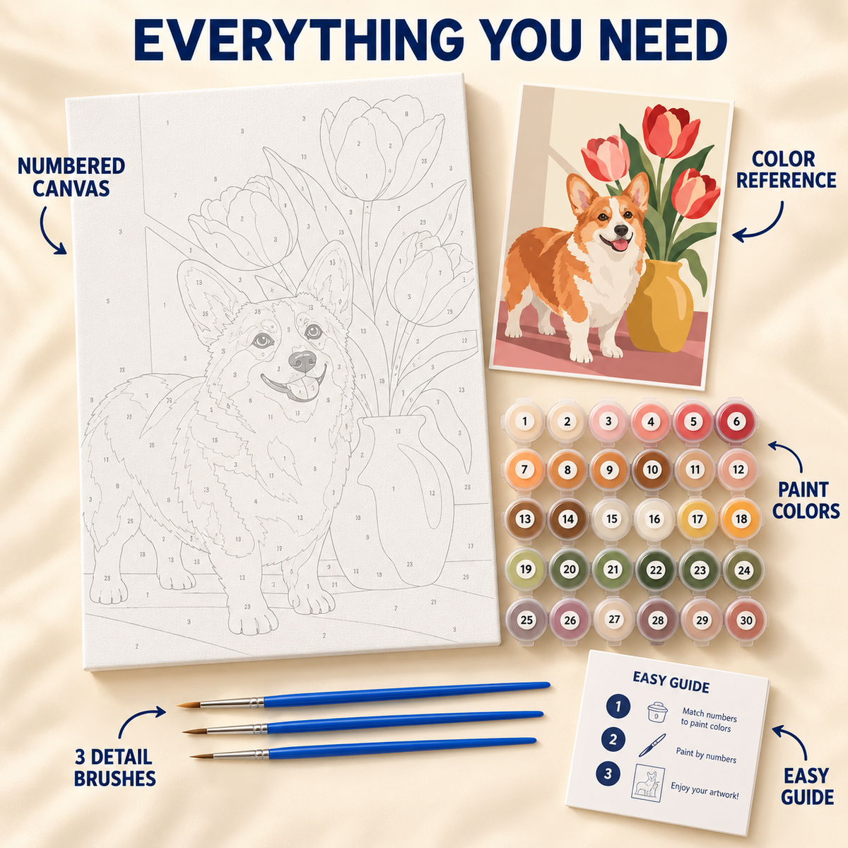 Tulip Corgi paint by numbers kit showing numbered canvas, paint pots, three detail brushes, color reference and guide