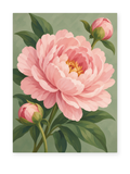 A large pink peony and buds against a muted green background - paint by numbers artwork