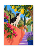 A black-and-white cat reaching toward lemons above a flower-lined terrace and purple steps with distant blue water - paint by numbers artwork