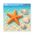 An orange starfish and seashells beneath rippling shallow turquoise water - coastal paint by numbers artwork